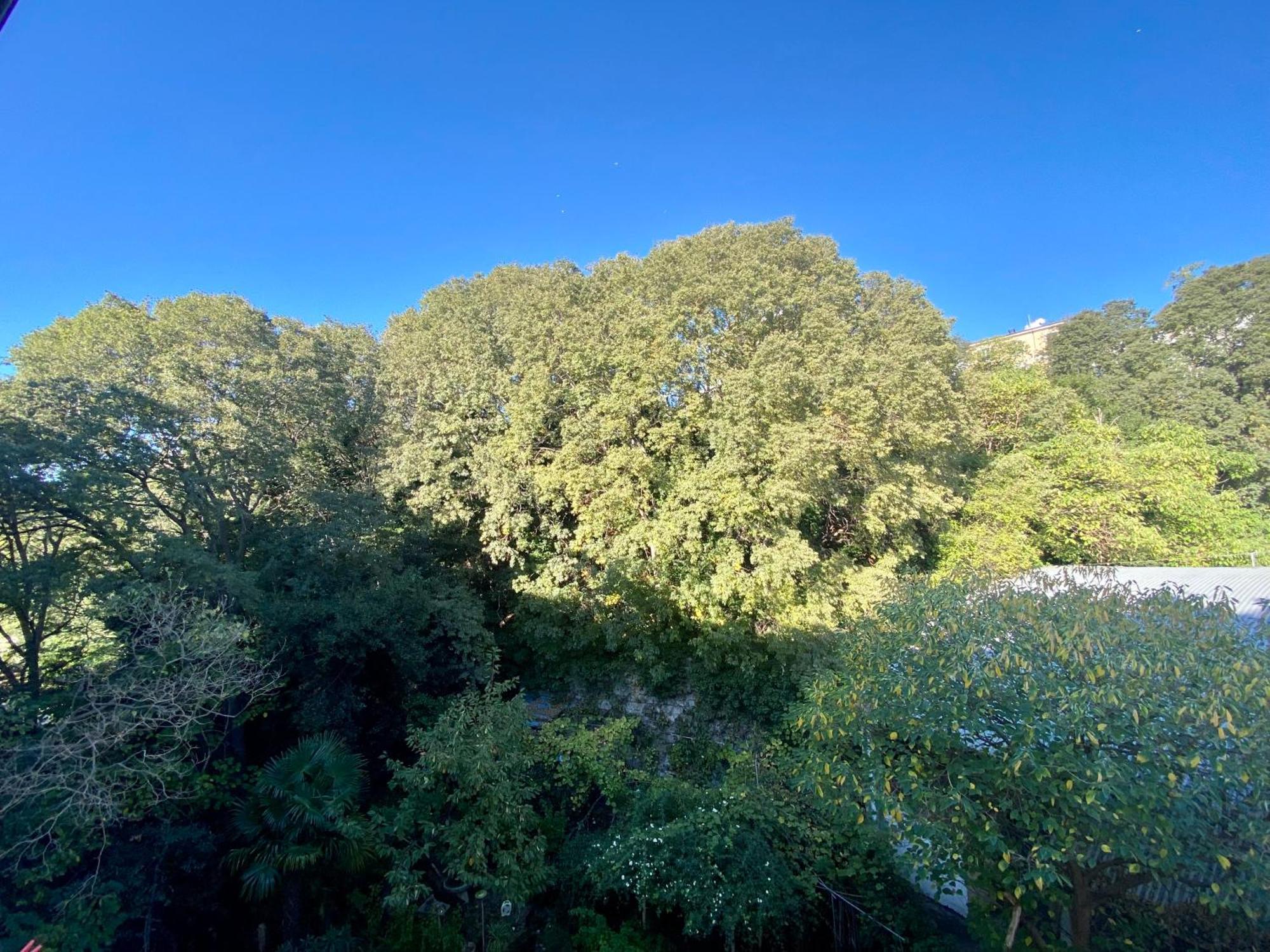 B&B Porto Vivo Trieste Bagian luar foto